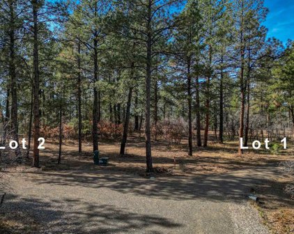 3700-A County Road 600 Lots 1&2, Pagosa Springs