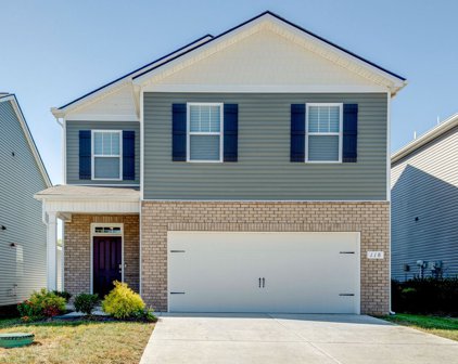 118 Victory Cir, Ashland City