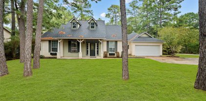 22602 Rainfern Drive, Magnolia