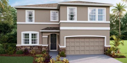 13847 Wineberry Drive, Dade City