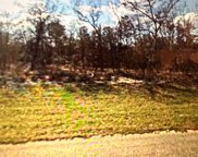 6330 N Bedstrow Boulevard, Dunnellon image