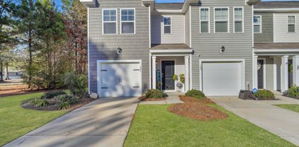 105 Cozy Nest Way, Summerville