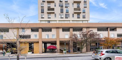 28 Allegheny Ave Unit #1201, Towson