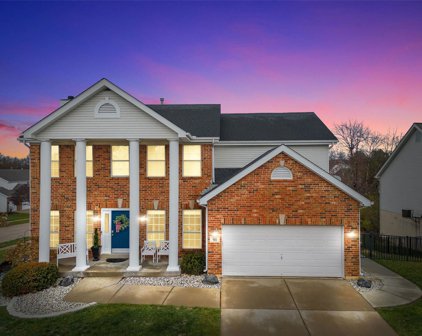501 Oxborough  Court, St Peters