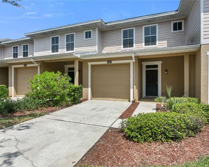 5803 Leopardstown Drive, Tampa
