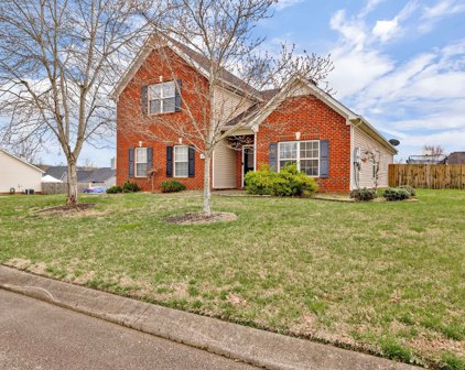 4018 Sequoia Trl, Spring Hill