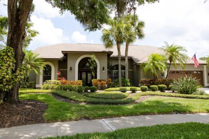 4771 Brayton Terrace N, Palm Harbor