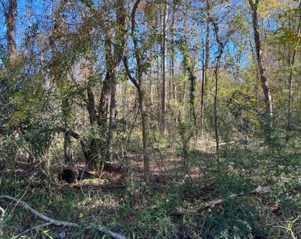 0000 Lazy Creek Drive, New Caney