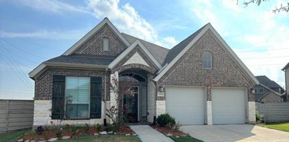 4301 Mesquite Terrace Drive, Manvel
