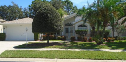 1320 Eveningside Court, Trinity