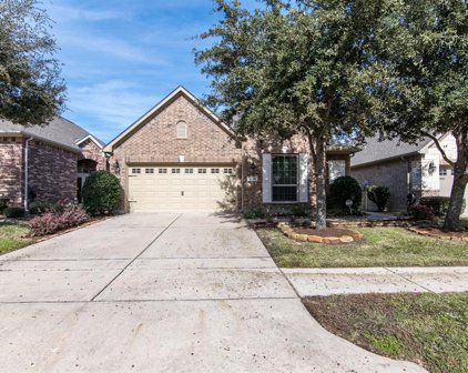 19306 Hamilton Hills Drive, Cypress