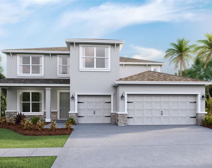 23075 Pachino Way, Lutz