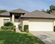 569 Juniper Way, Tavares image