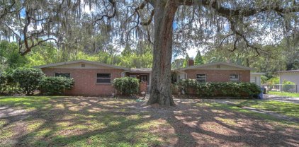 12905 Forest Hills Drive, Tampa