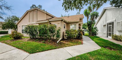7802 Hancock Street, New Port Richey