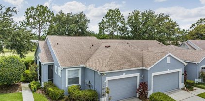 20920 Eustis Road, Land O' Lakes