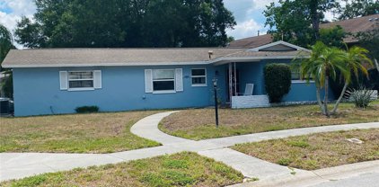 1447 Santa Monica Drive, Dunedin