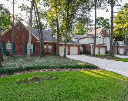 134 N Magnolia Pond Place, The Woodlands