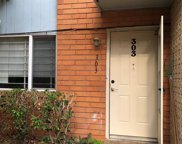 5538 Holly Street Unit 303, Houston image