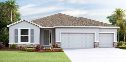 32207 Conchshell Sail Street, Wesley Chapel
