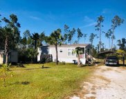 279 Live Oak Dr, Wewahitchka image