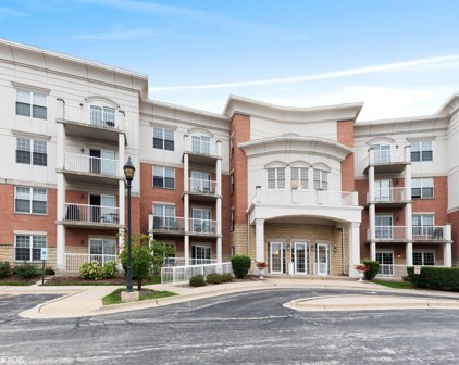 701 W Rand Road Unit #229, Arlington Heights