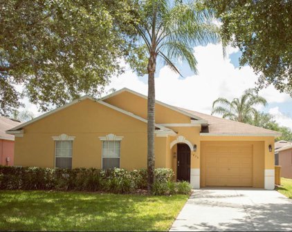 1435 Silver Cove Drive, Clermont