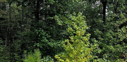 Lot 8 Quail Run, Malvern