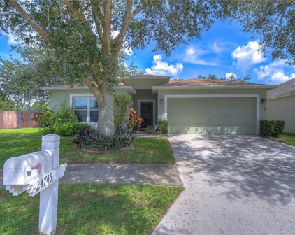 24745 Mary Beth Court, Land O' Lakes
