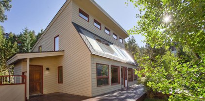 408 Forest Hills  Drive, Breckenridge
