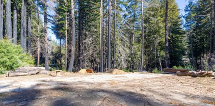 16100 Big Basin WAY, Boulder Creek