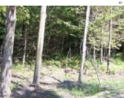 000 117th Avenue, Fennville image