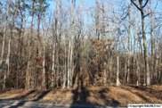 NA Raintree Drive, Centre image