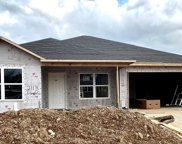 2113 Dandelion, Benton image
