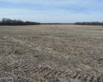Tbd 58.75  Acres County Road 290, Carl Junction