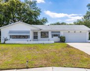11034 Elderberry Drive, Port Richey image