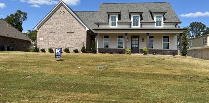 3768 Fossil Hill Dr Drive, Hernando