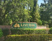 Hickory Tree Court, Orlando image