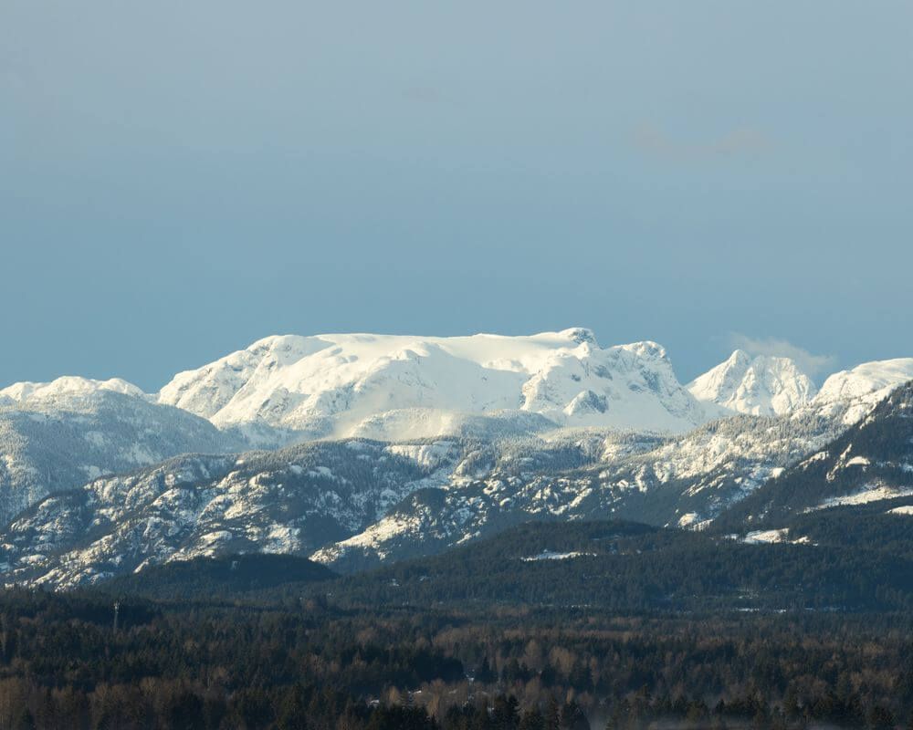 Courtenay Real Estate