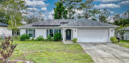 216 Hickory Avenue, Orange City