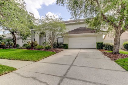9401 Woodbay Drive, Tampa