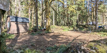 63687 W Cascade Drive, Marblemount
