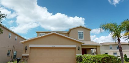 7805 Carriage Pointe Drive, Gibsonton