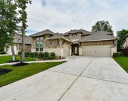 13107 Six Rivers Drive, Humble image