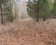 8.39 Acres Greene 756 Rd, Paragould image