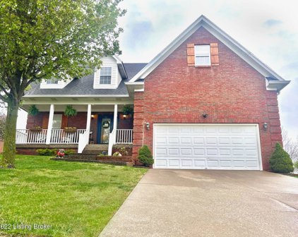 132 Blossom Cir, Shelbyville