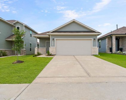 19815 Red Bay Fir Court, Porter