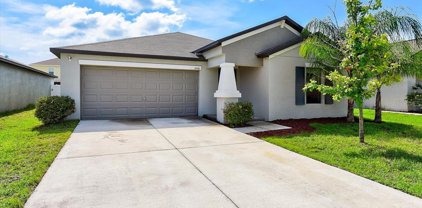 14146 Covert Green Place, Riverview