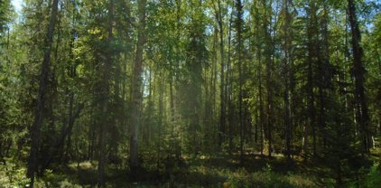 2120 N Carriage Lane, Wasilla
