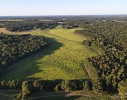 20806 Coley Store  Road, Locust image
